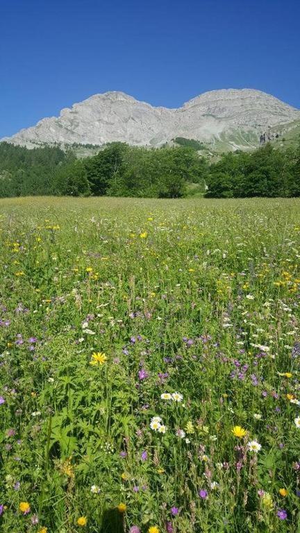 Chalet Miel De La Cayolle-Estenc Entraunes المظهر الخارجي الصورة